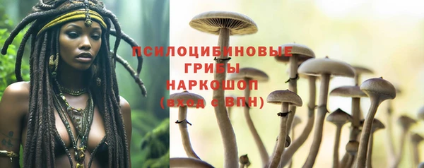 метадон Анжеро-Судженск