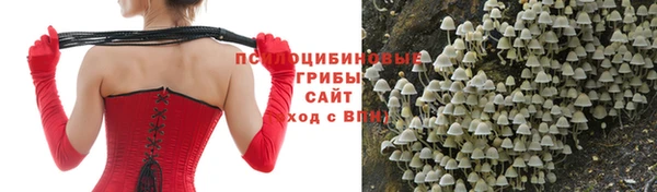 не бодяженный Апатиты