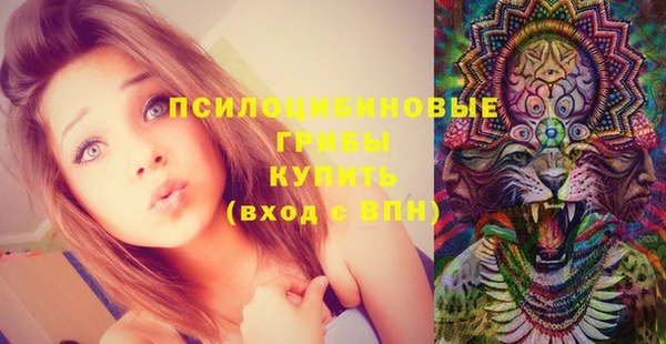 не бодяженный Апатиты