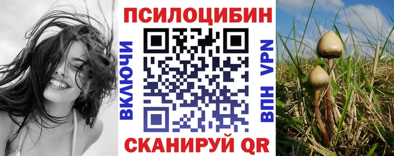 сайты даркнета телеграм  KRAKEN маркетплейс  Канск  Галлюциногенные грибы Magic Shrooms 