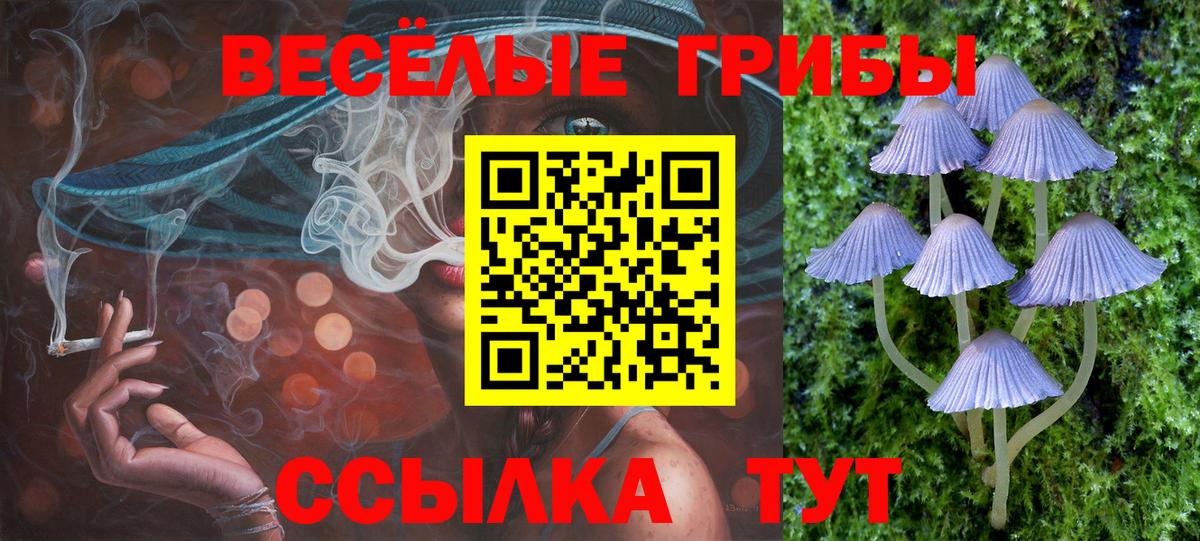 Галлюциногенные грибы мицелий Канск