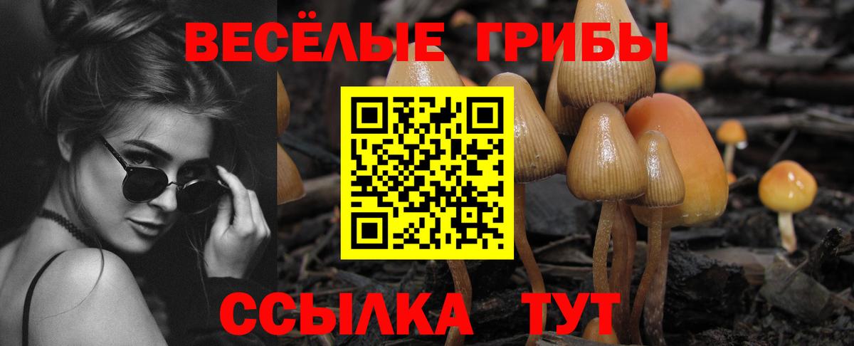 Галлюциногенные грибы GOLDEN TEACHER  как найти закладки  Канск  Вход с VPN 