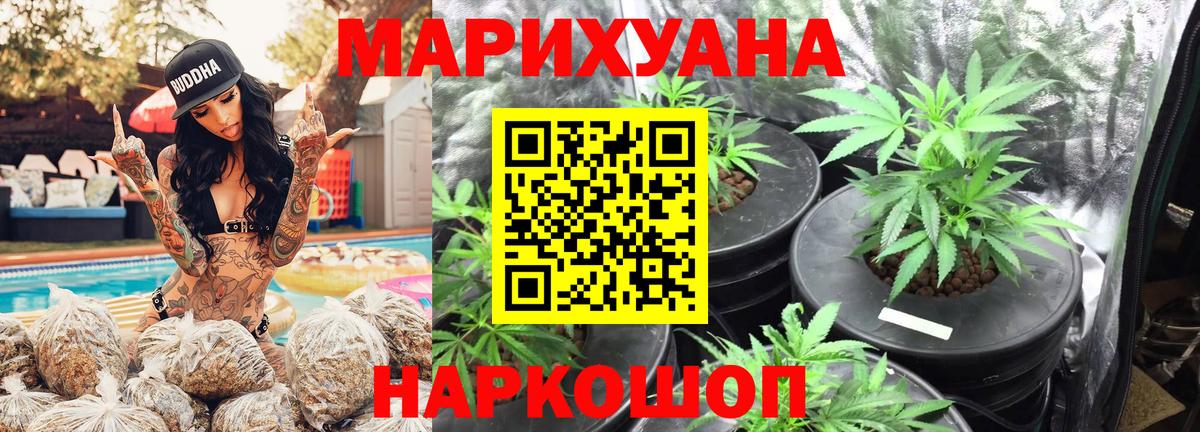 Бошки Шишки ГИДРОПОН Канск